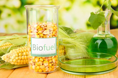 Costislost biofuel availability